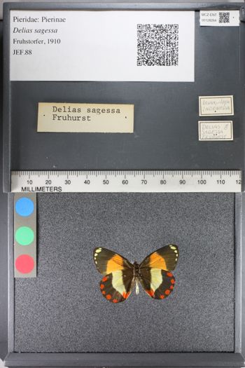 Media type: image;   Entomology 128264